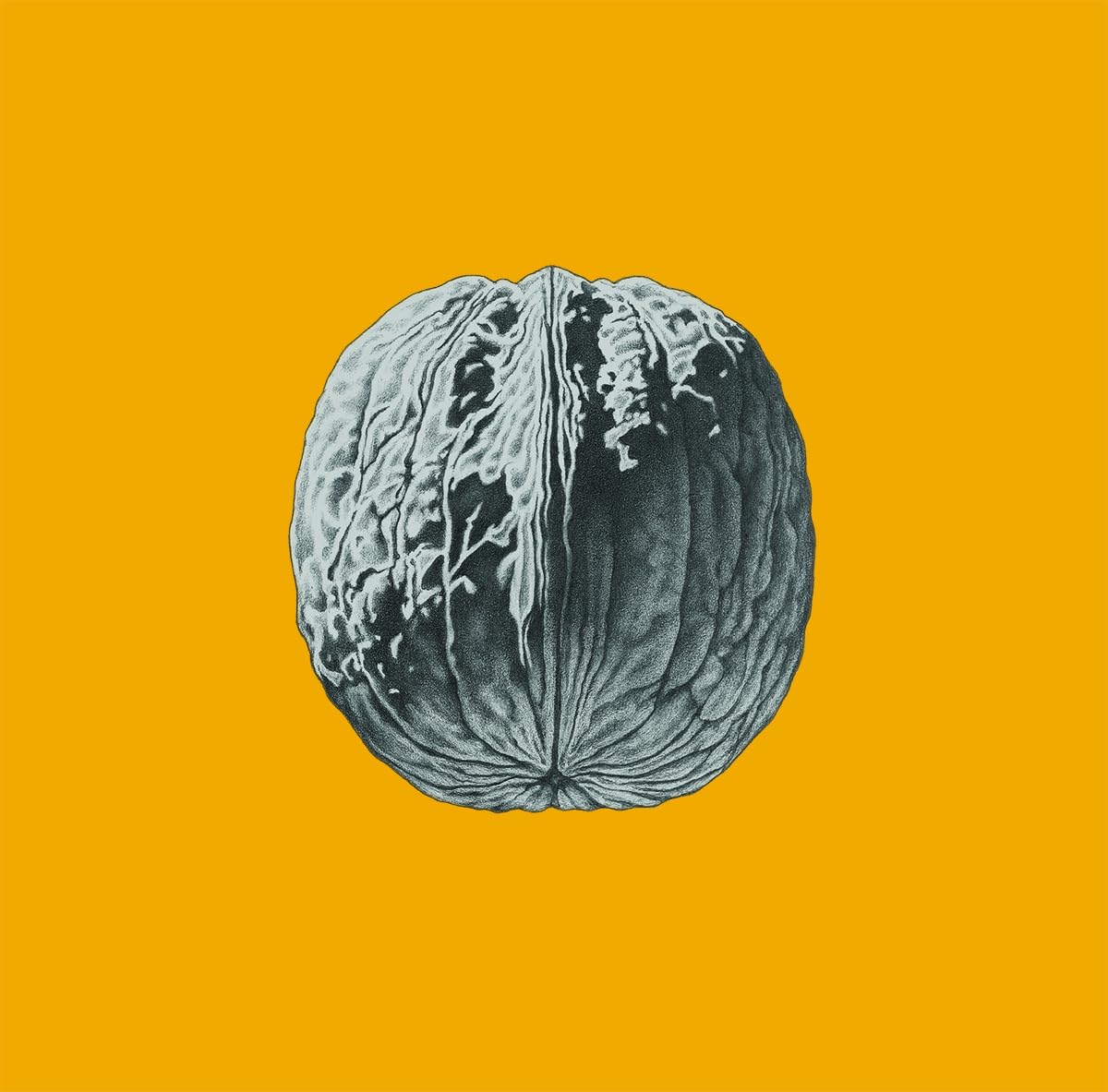 L'Albero Delle Noci - Deluxe Colored Vinyl [Vinyl LP] [VINYL]