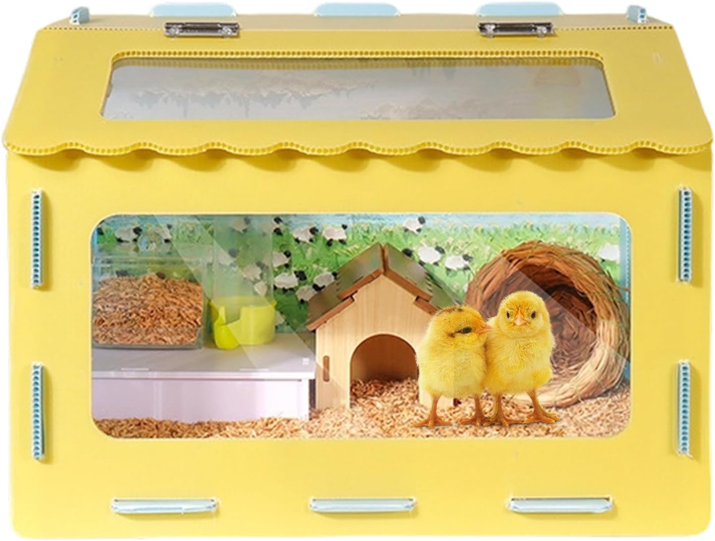 Chicken Brooder Box,Chew-Resistant with Observation Window,Brooding Box Chicks Habitat - for Small Space Backyard Urban Home Small Farm Apartment Garage Beginners Adults