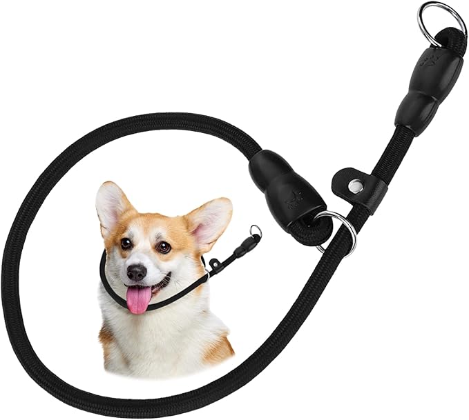 Slip Collar Dog Training Choke Collar Round Climbing Rope Material Dog