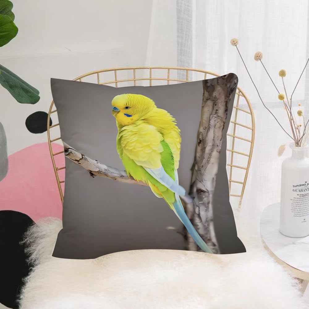 HYMSXW Cushion Cover,Throw Pillow Case Home Decorative for Living Room Bedroom Sofa Chair 20X20 Inch,Yellow parakeet on a branch budgerigar,Pillowcase 50X50cm