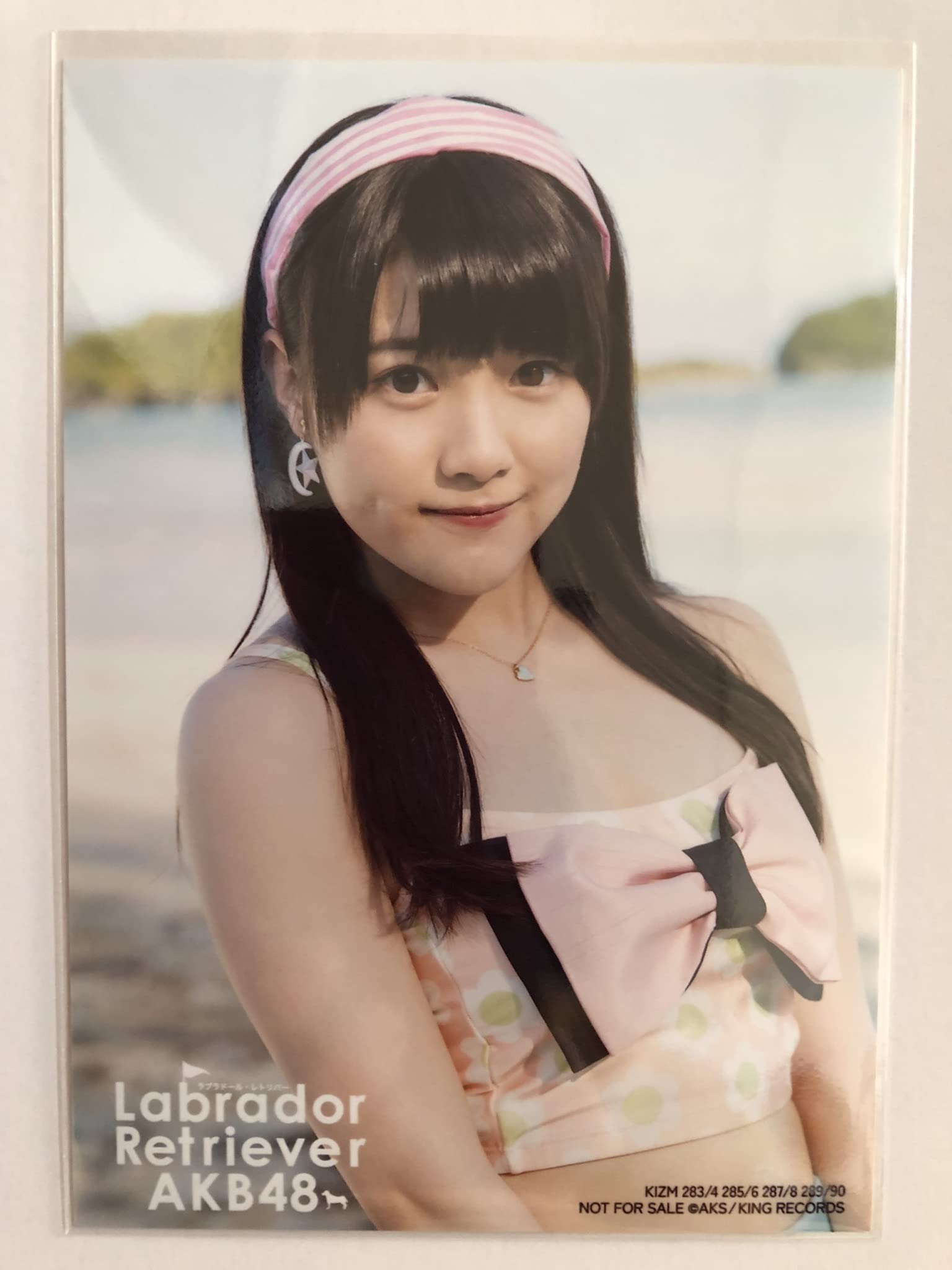 AKB ラブラドールレトリバー 劇場 生写真 ラブラドール・レトリバー<劇場盤> - Single by AKB48 | Spotify