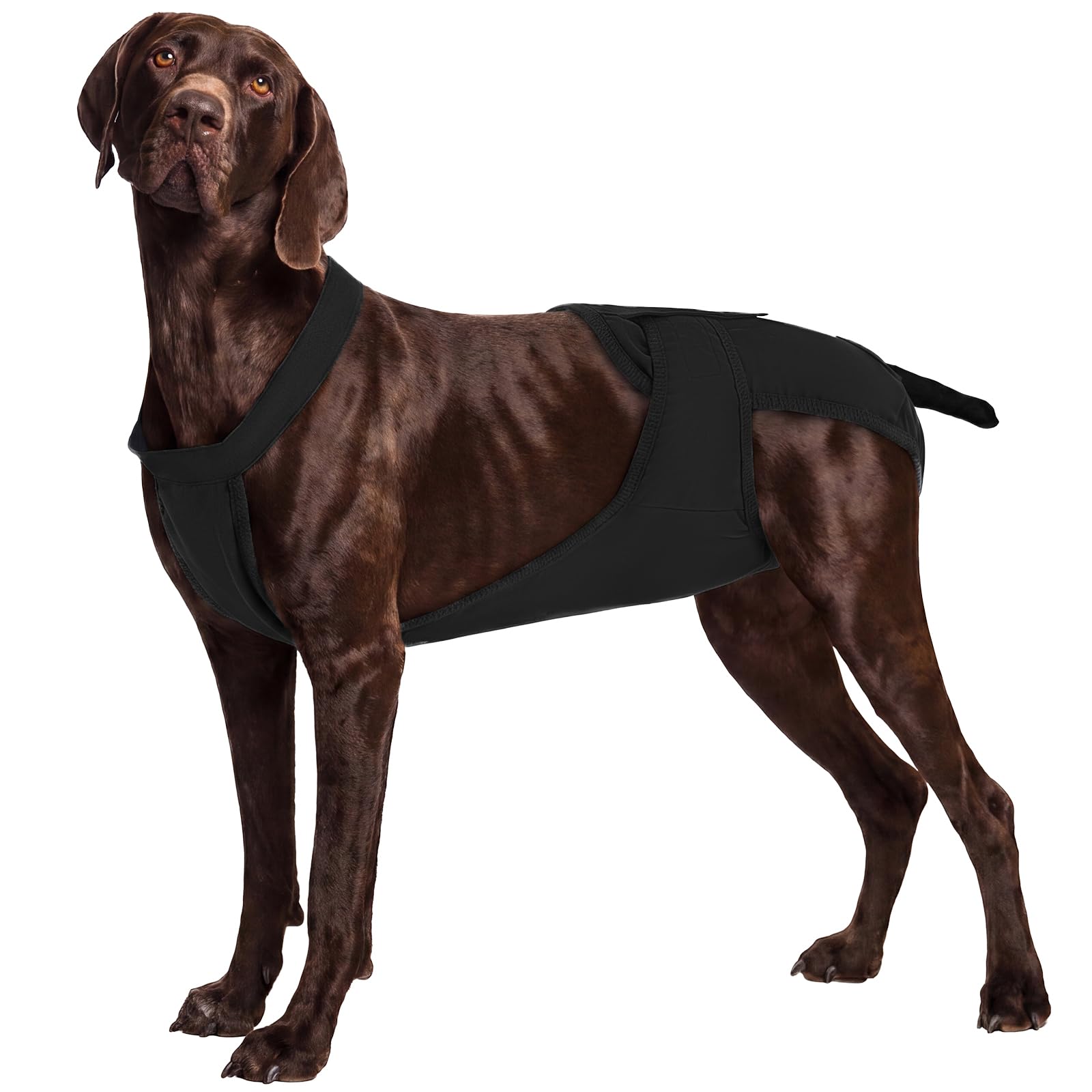 IECOii Dog Season Pants,Reusable Washable Dog Nappies,Leakproof Pet Pants with Shoulder Straps,Anti-Slip Hook & Loop Nappies with Tail Hole,Incontinence,Senior Pets,Post-Surgery,House Training,4XL