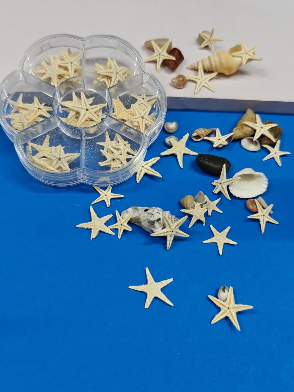 Artificial Resin Starfish for Crafts – 52PCS Starfish for Resin Art, DIY Beach Decor, Wedding Favors, Aquarium Ornaments, ... - Review, Price and Buying Guide