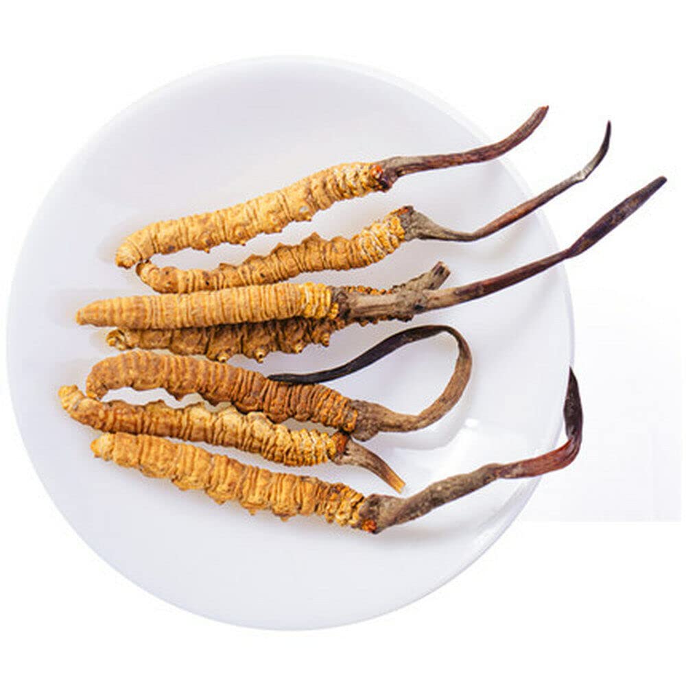 5g China tibet wild cordyceps sinensis aus chinesischem kräutertee frei von zusatzstoffen nährender blüten- und früchtetee aufgebrühter tee loses grünes bio-kraut zum kochen