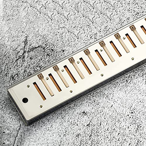 MEIeynt Blues Harmonica Diatonic 24 Hole Harmonica Key of C, Convient à Toutes Les Occasions, comme Le Blues, Le Folk… - Les Beatles, Paul McCartney, John Lennon, RIngo Starr, George Harrison MEIeynt Blues Harmonica Diatonic 24 Hole Harmonica Key of C, Convient à Toutes Les Occasions, comme Le Blues, Le Folk… – Image 7