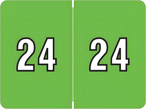 Calcomanías del año 2024, serie compatible con archivos de datos, etiquetas anuales codificadas por color verde para carpetas de archivos de