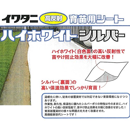 Amazon.co.jp: 2本 ハイホワイトシルバー 3×50m 育苗用シート