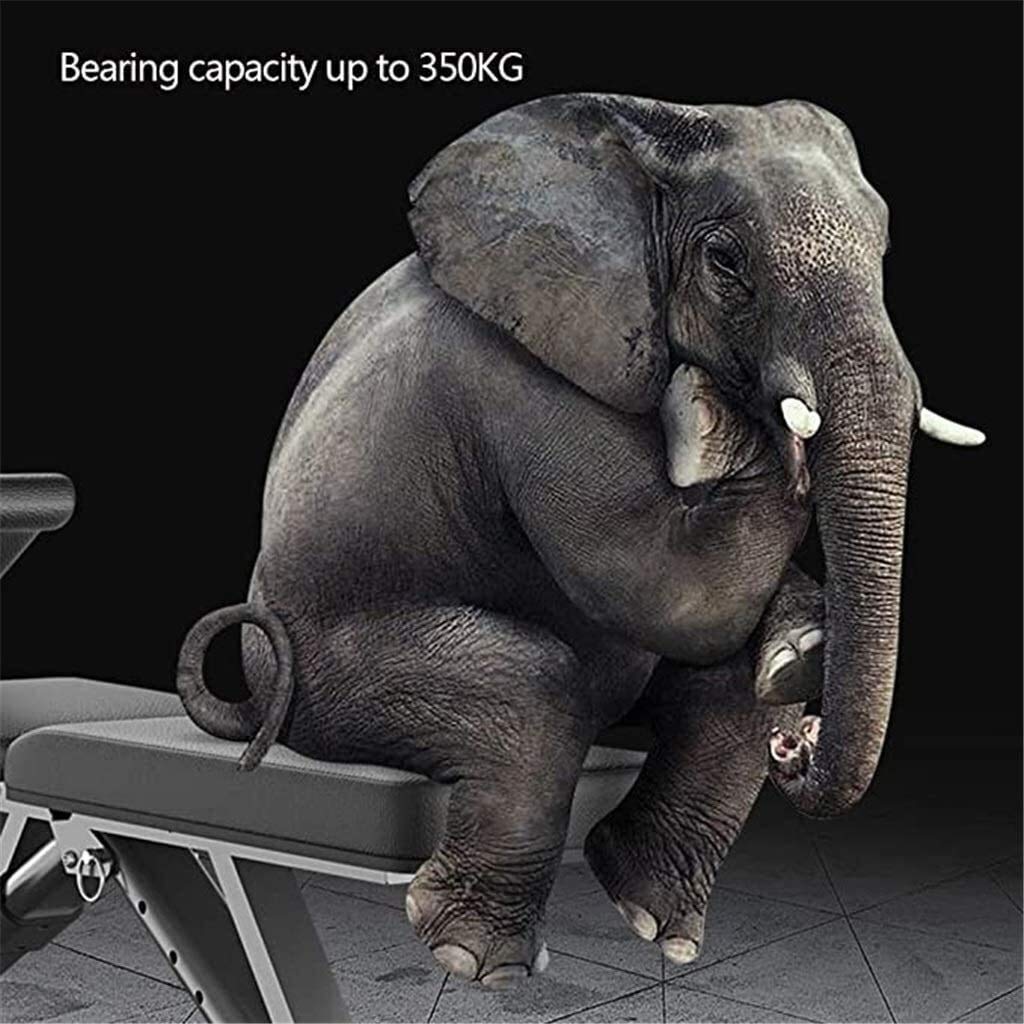 Banc d'haltères, machine à coups de pied, chaise de prêtre, tabouret romain, banc multifonction, bancs réglables, planche abdominale de presse, équipement de fitness pliable à domicile, commerc