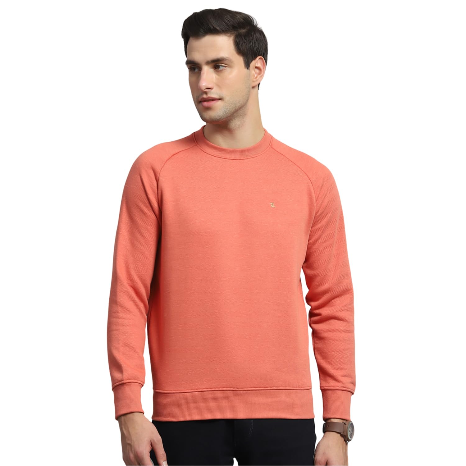 monte carlo Mens Solid White Round Neck Full Sleeve Sweatshirt-picture-16