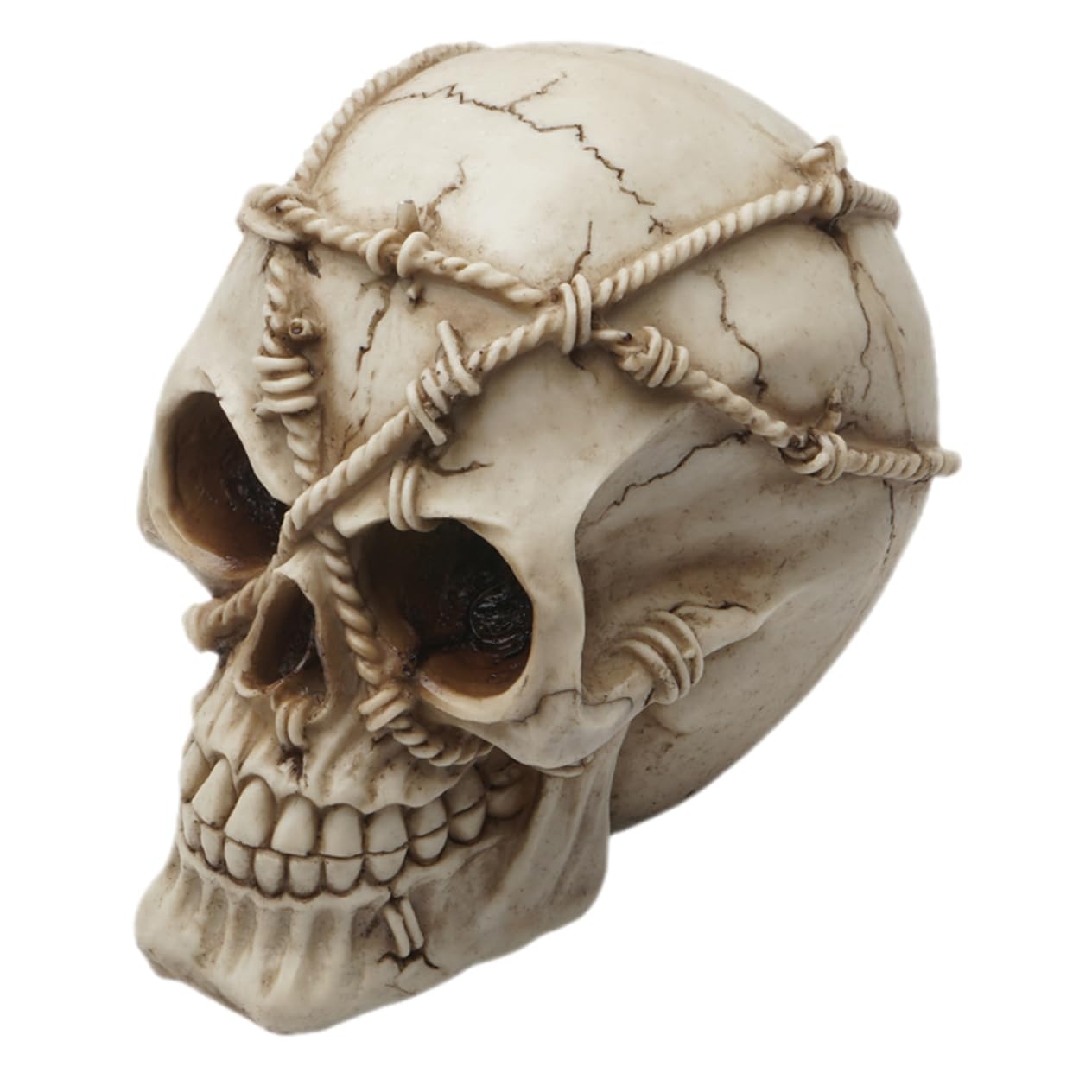 Crâne en résine réaliste Toyvian pour votre décoration d'Halloween