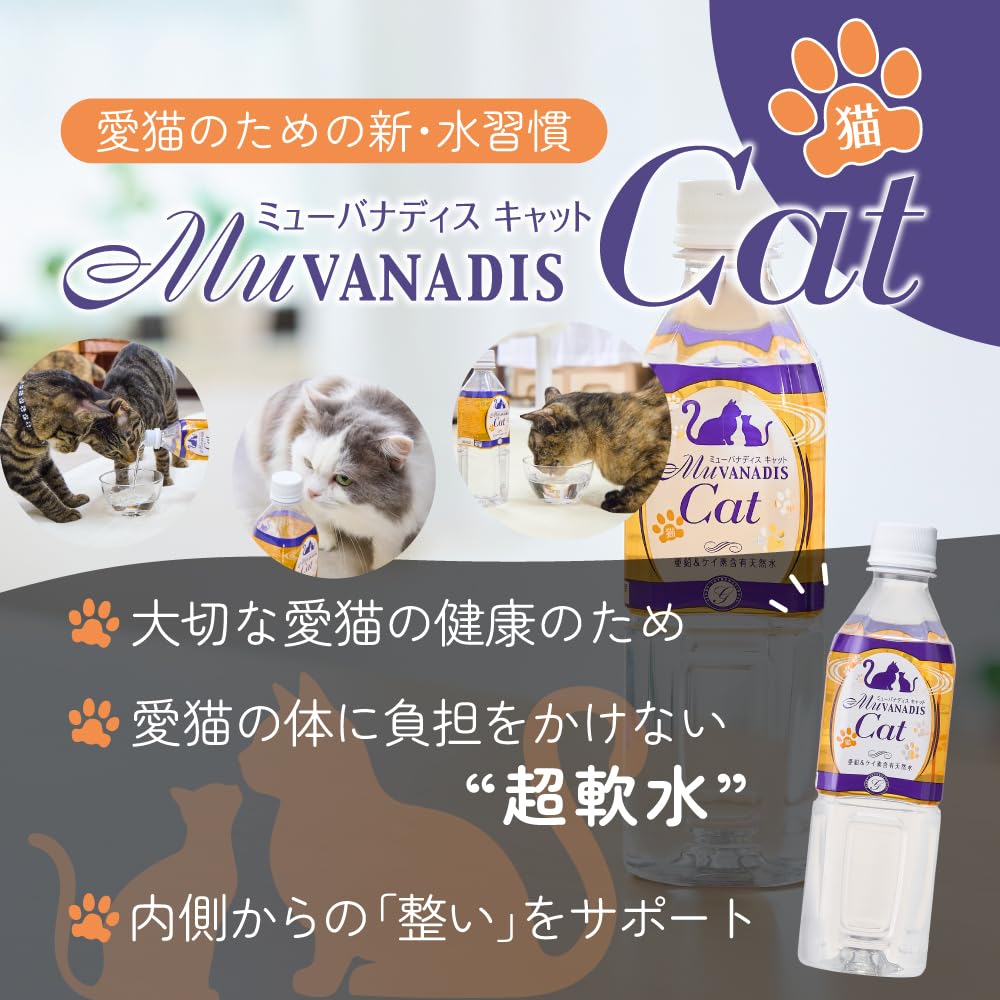 ミネラル ウォーター 猫