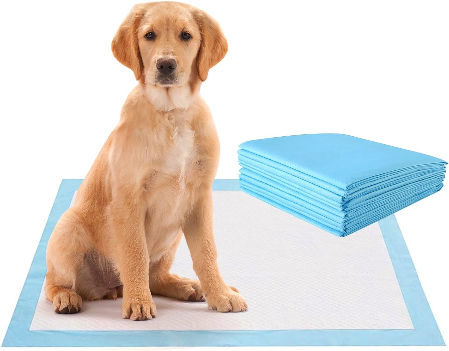 GYMAX Empapador Perro, Alfombrillas de Entrenamiento para Perros, Almohadilla de Higiene para Cachorros, Alfombrilla Súper Absorbente, Almohadillas para Crianza de Cachorros (150, 75 x 75 cm)