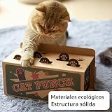 Ver la foto 5