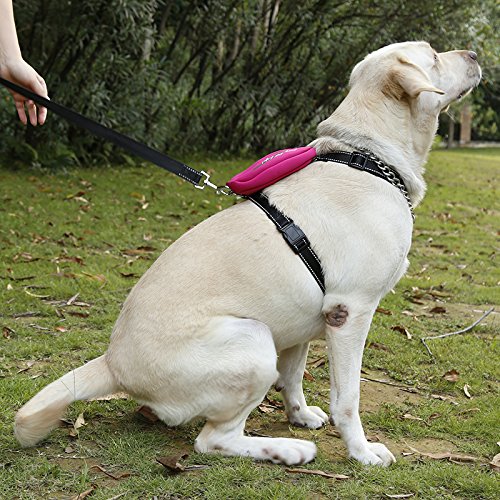 Reflecting Nylon Pet Dog Harness Large Dog H Style Harness Leash with