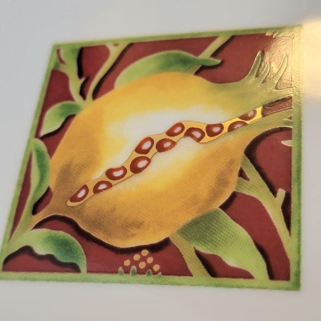 Amazon.co.jp: ジノリ プレート 金縁 ザクロ レア商品 コレクター