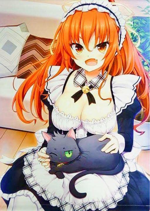 Amazon.co.jp: ノラと皇女と野良猫ハート 明日原ユウキ