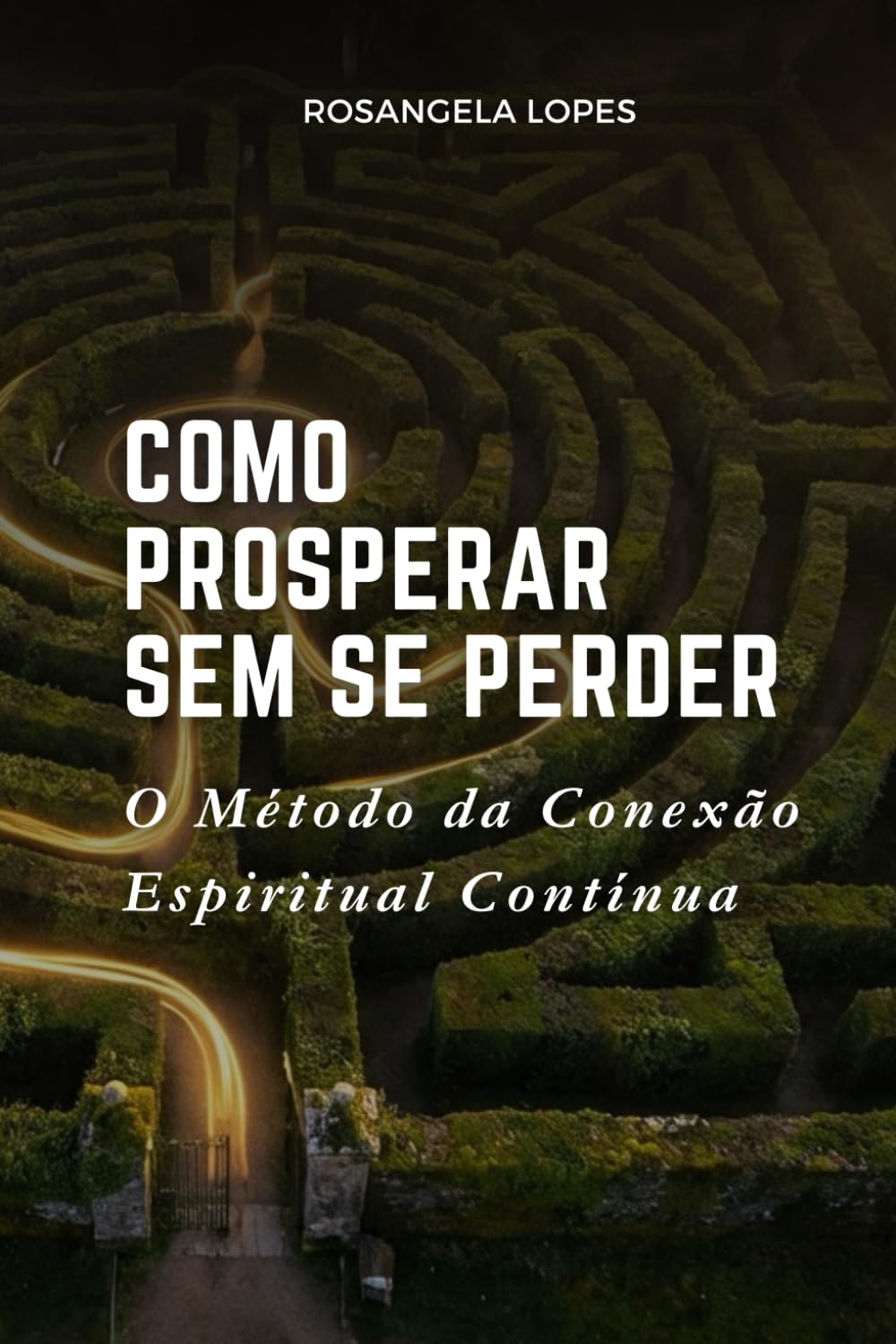 Como Prosperar Sem Se Perder: O Método da Conexão Espiritual Contínua