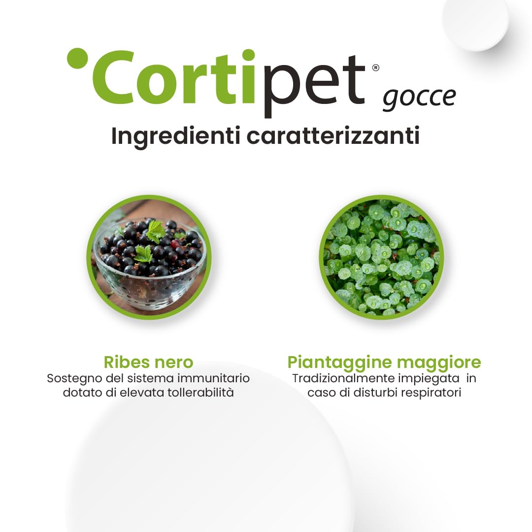 Aurora Biofarma Cortipet Gocce 50ml - Mangime Complementare per Cani e Gatti per il Sistema Immunitario