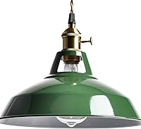 Vista 2 de YUBOLE Modern Green Plug-in Pendant Light,Macarons Kitchen Hanging Swag Lighting, Metal Barn Shade with On-Off Switch Plug Cord Light for Bedroom