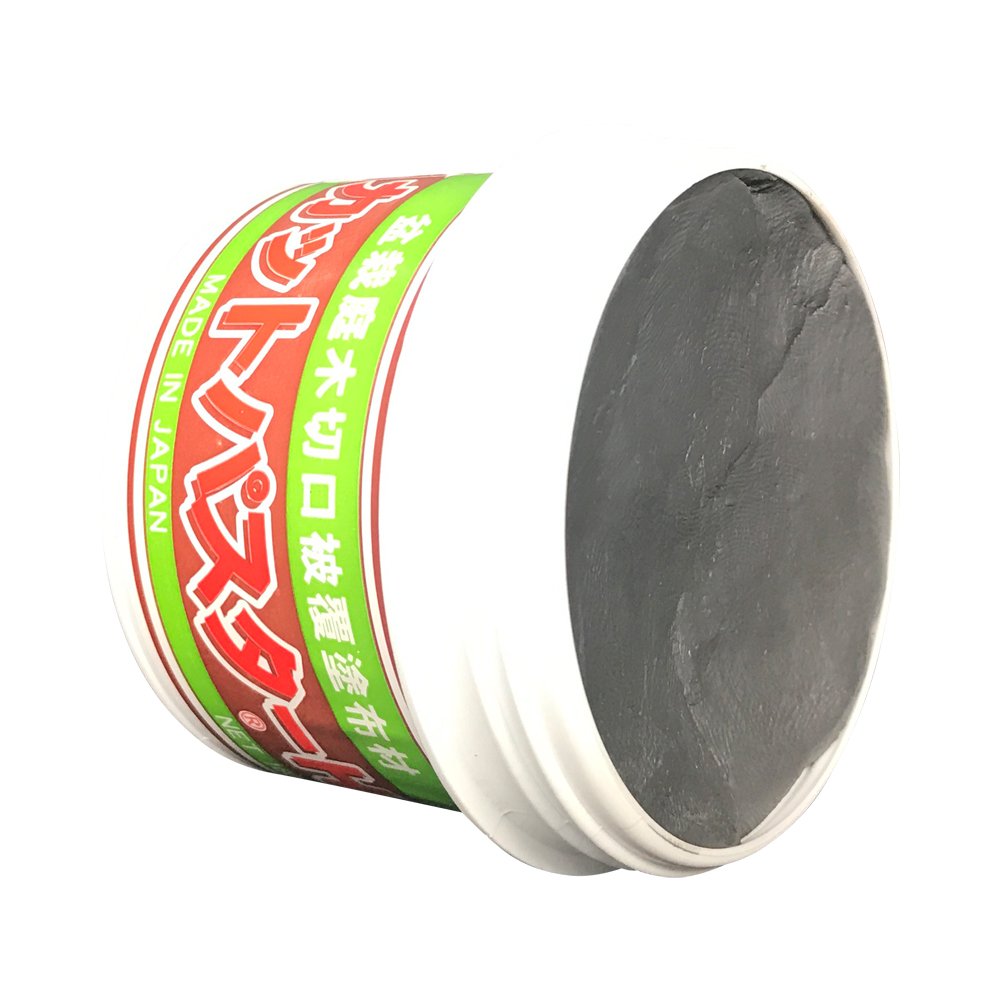 Geosism & Nature Mastice Giapponese, Pasta cicatrizzante specifico per Bonsai di conifere, 190 gr
