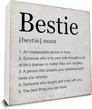Bestie Gifts for Women Bestie Definition Art Wooden Box Sign Decor