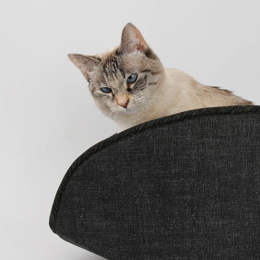 review Jumbo Size Cat Canoe Bed for Large Kitties (Black Weave)