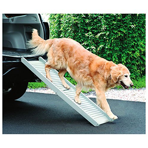 Etna Folding Dog Ramp Amazon.in Pet Supplies
