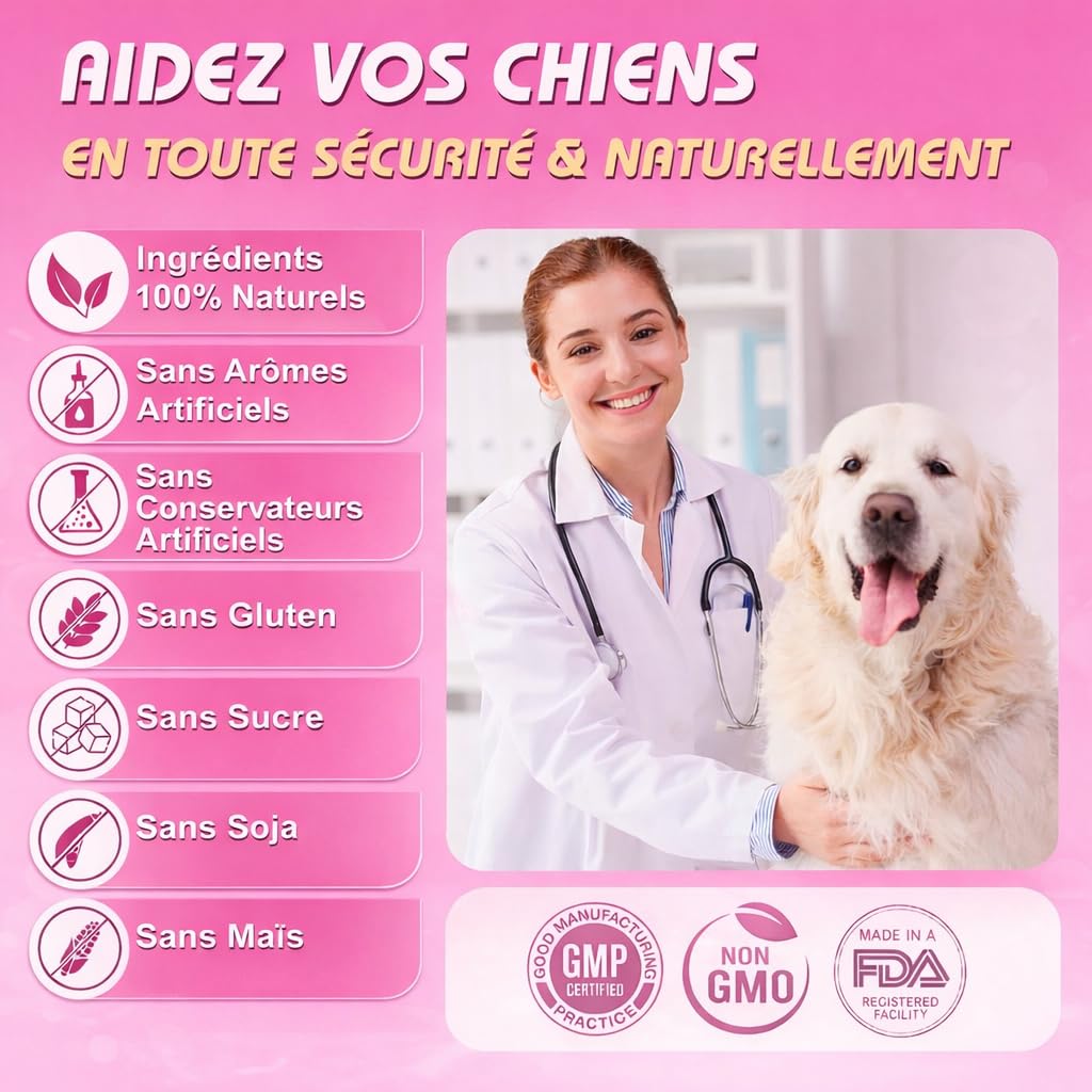 Démangeaisons Chien | 120 Compléments Premium | Réduit Léchages, Grattements & Mordillements | Oméga 3 & Probiotiques | Formule Vétérinaire | Saumon | 300g