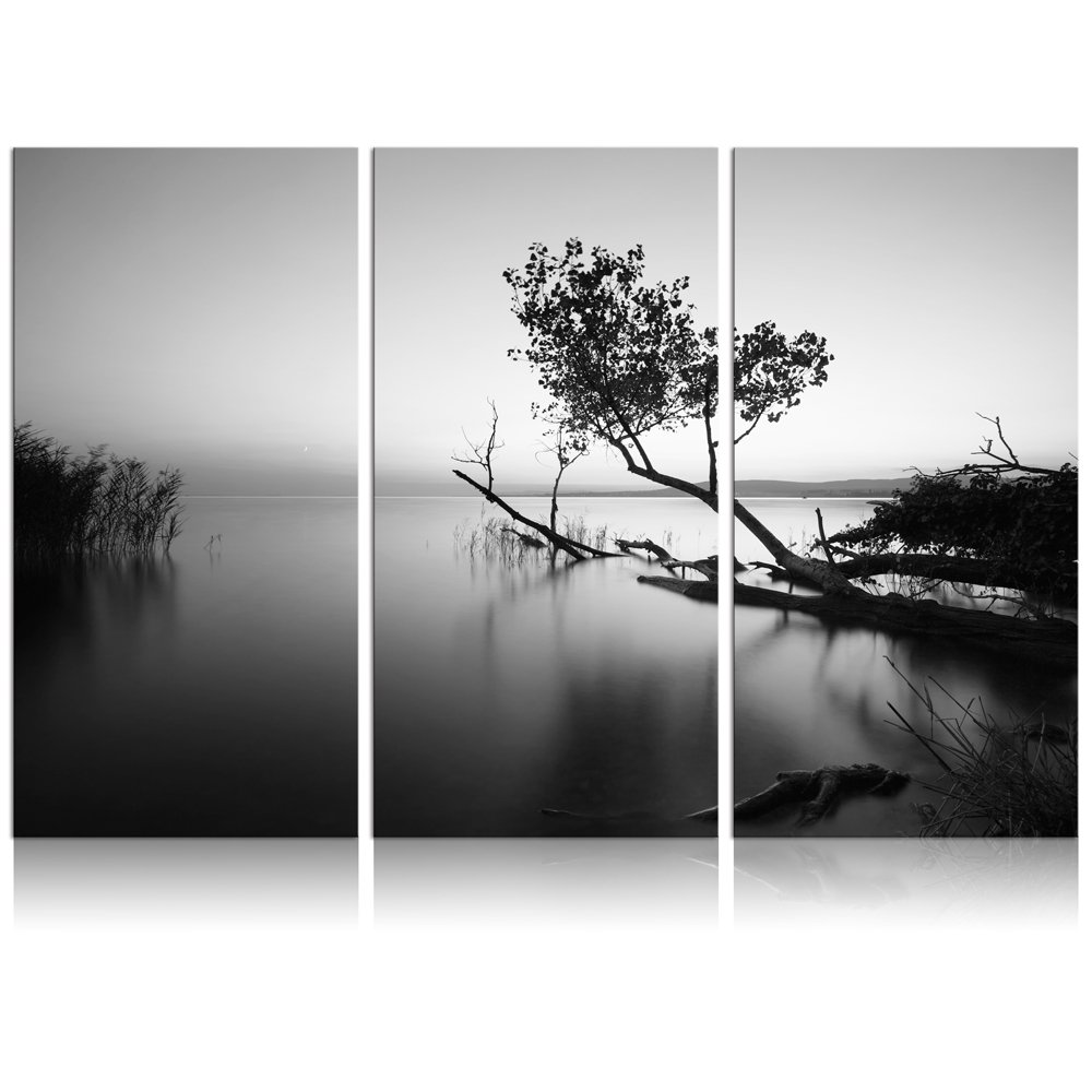 Black And White Nature Painting