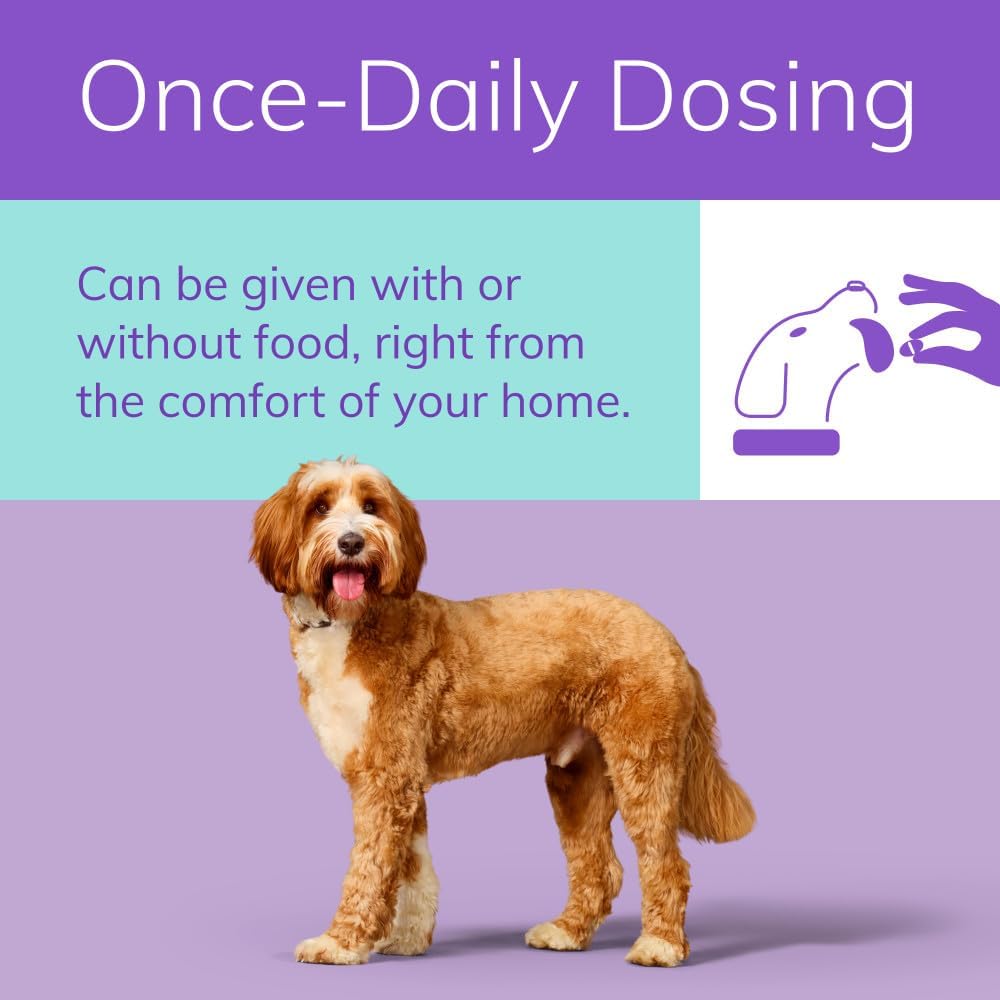 Zenrelia (ilunocitinib Tablets) | Once Daily Prescription Itch Relief for Dogs | 6.4 mg (30 Count)