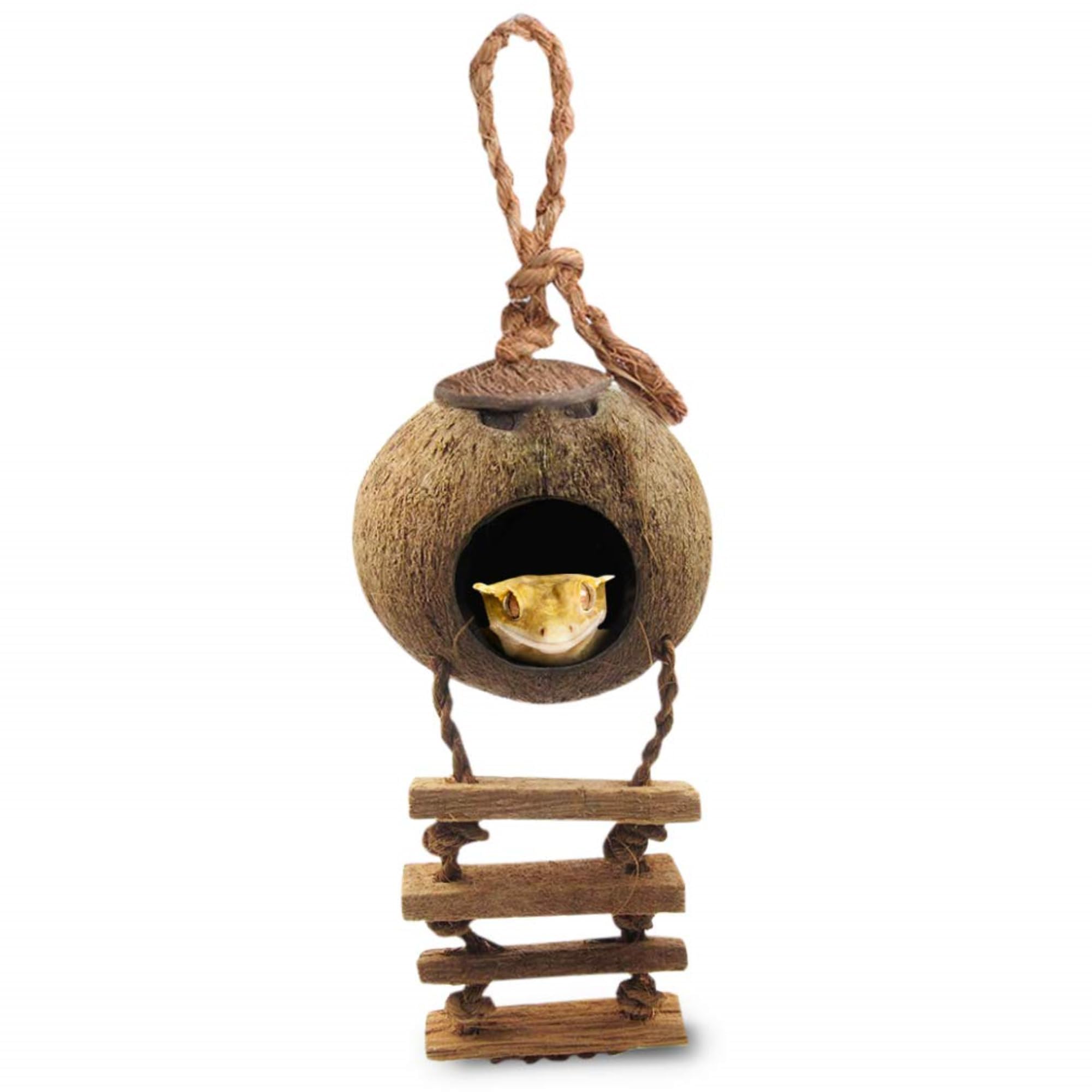 SunGrow Crested Gecko, Snake &amp; Ball Python Coco Hut, Treat &amp; Food Dispenser, Climbing Porch, Hiding, Ideal for Reptiles, Amphibians (with Ladder)