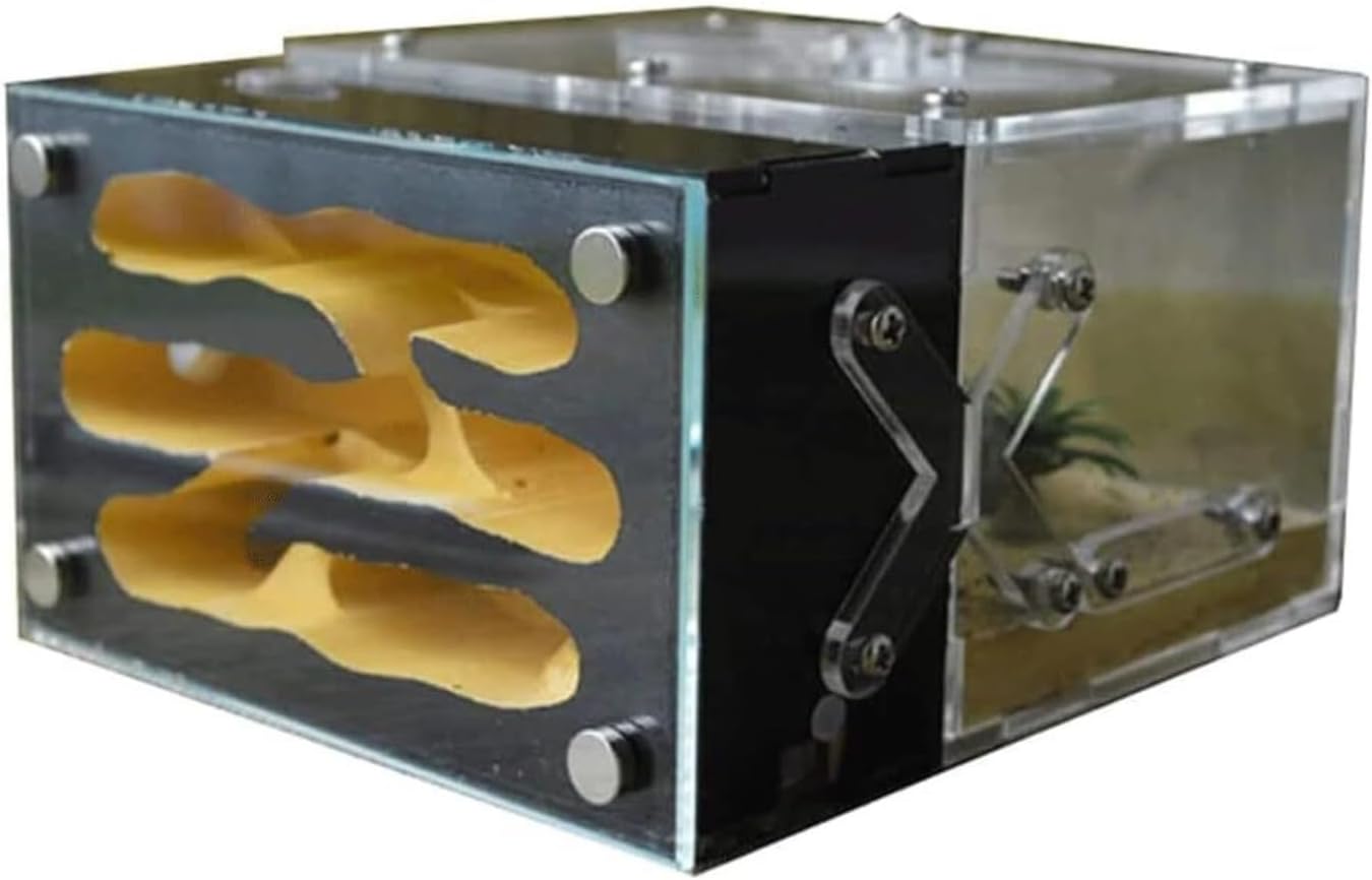 クワガタ採集セット 迷彩柄 オリジナル掻き出し棒 デジタルノギス 採集