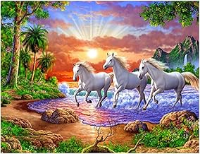 DCIDBEI 50 x 40 cm 5D Diamond Painting White Horse on the Sea, DIY Round Diamond Embroidery Kit Landscape Sunset Casual Game Craft for Home, Living Room, Bedroom Wall Decoration