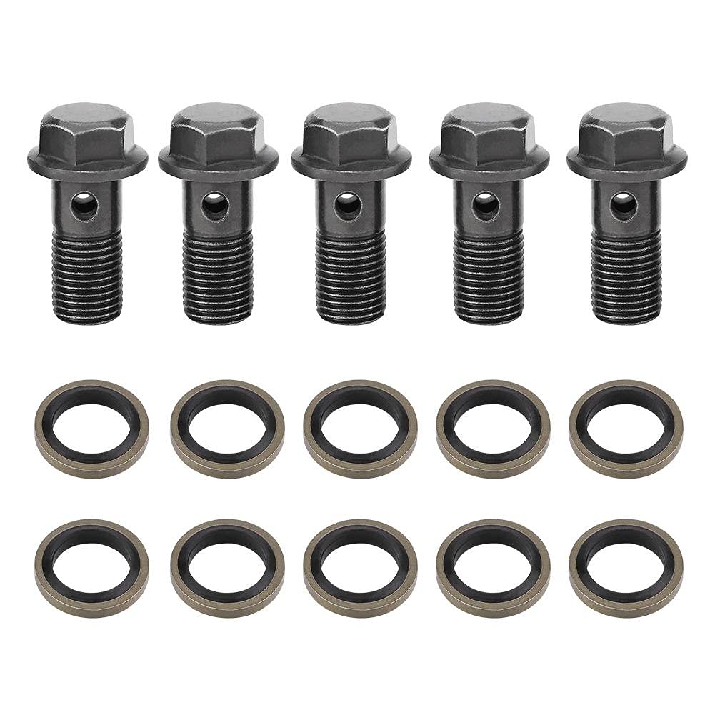Aramox Motorcycle Brake Banjo Bolts with Washers, M10x1.25mm, Iron, 5 Bolts and 10 Washers, for Brake Caliper Master Cylinder