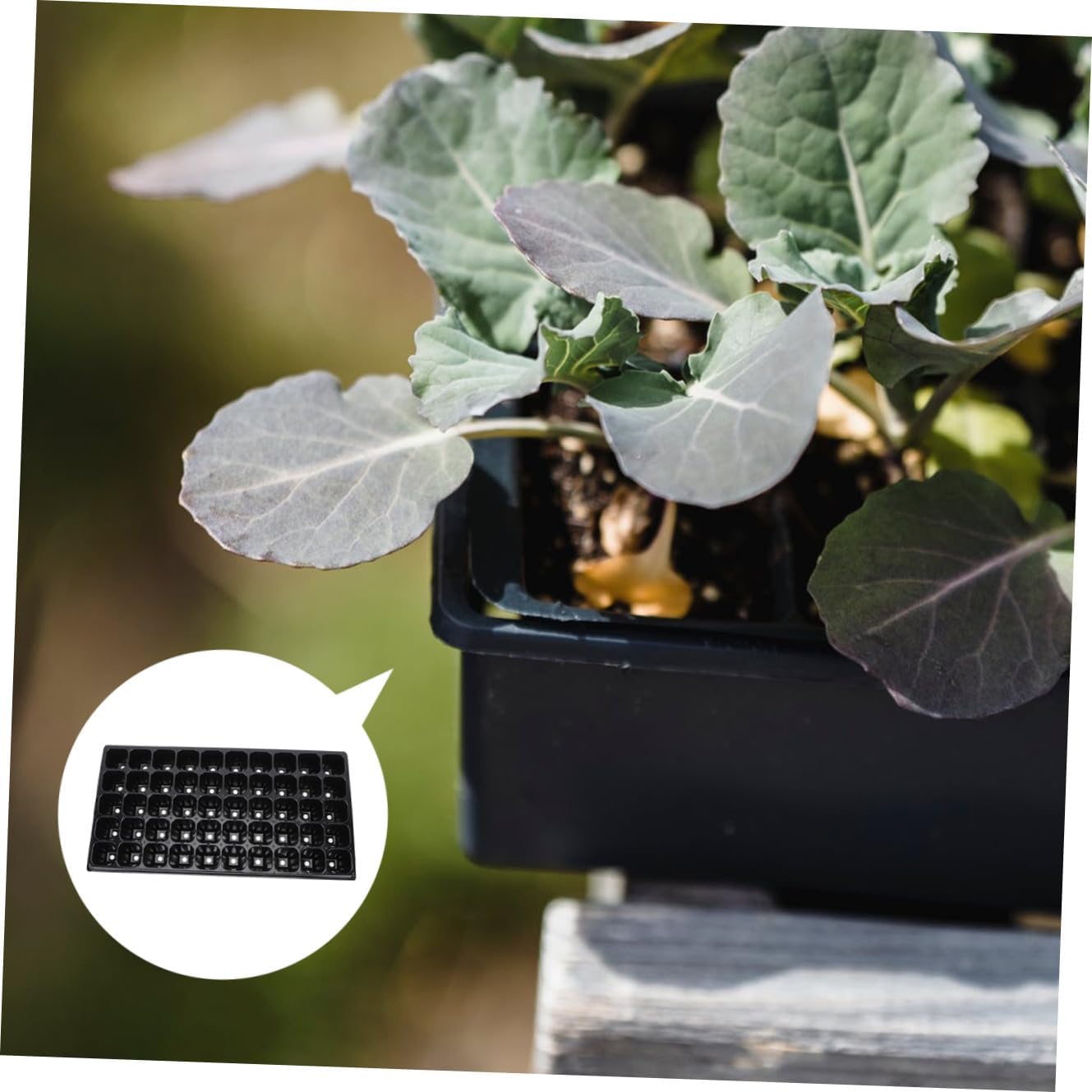 10pcs Vegetable Starter Trays Plant Nursery Trays for Germination Lightweight Gardening Planting Box Design for Indoor and Outdoor Use