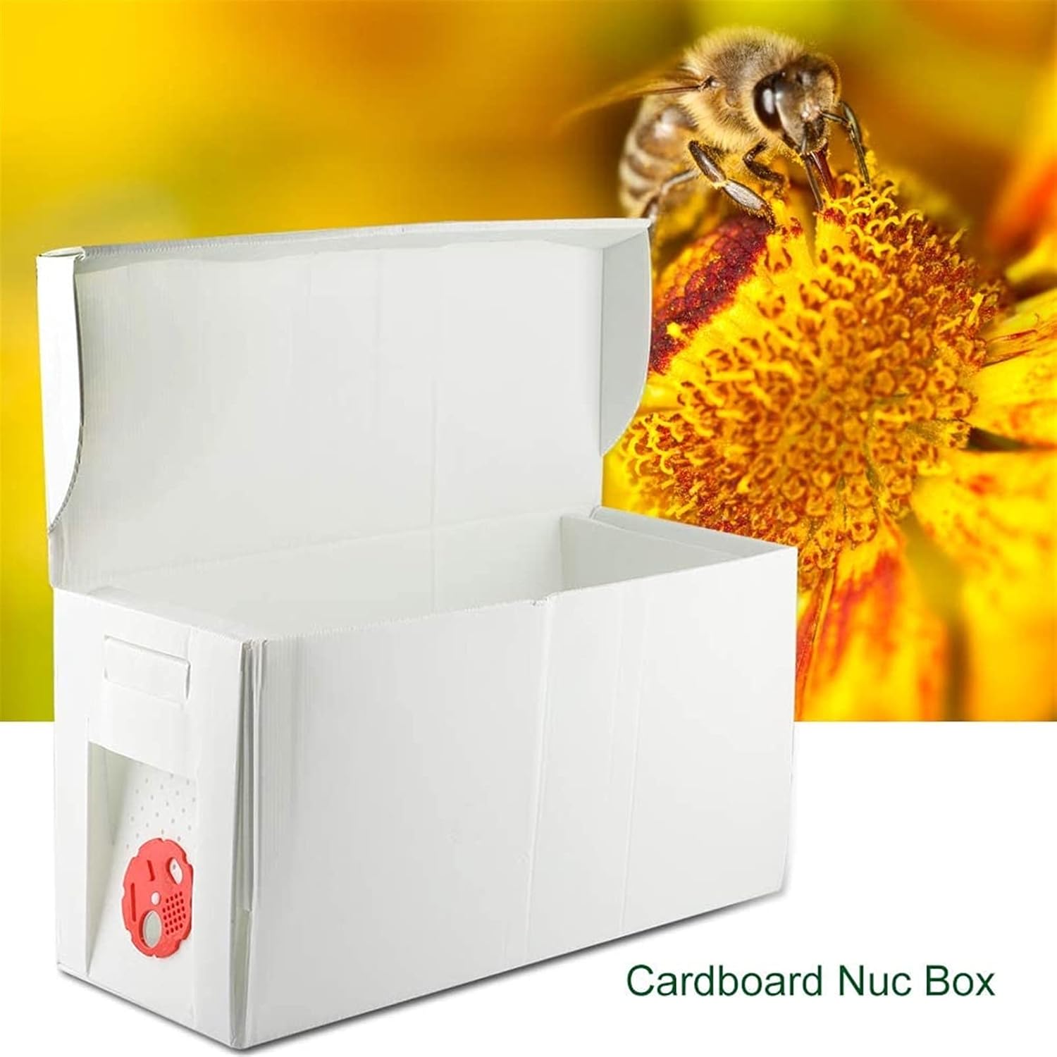 Plastic Bee Hive Box, Portable Cardboard Box Lightweight Beekeeping Equipment Cardboard Beekeeper Equipment