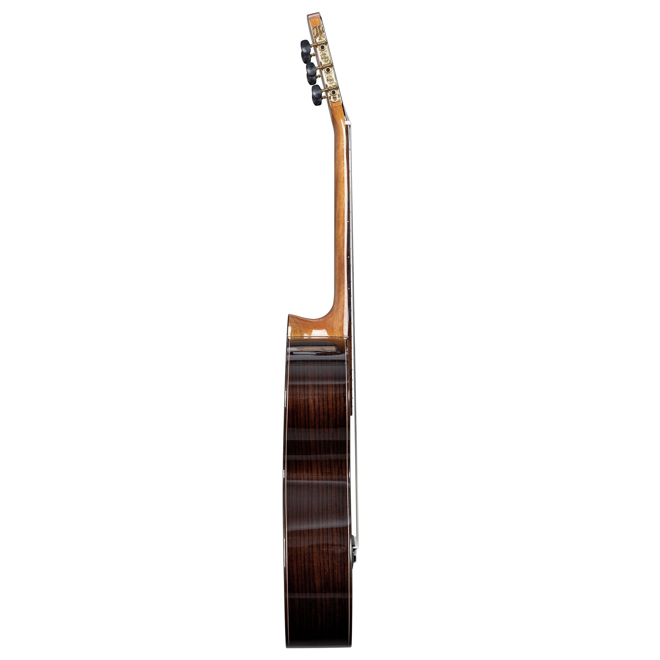 Performer Series Classical Guitar Solid Top 4/4 (incl. borsa imbottita, 3 picchi)