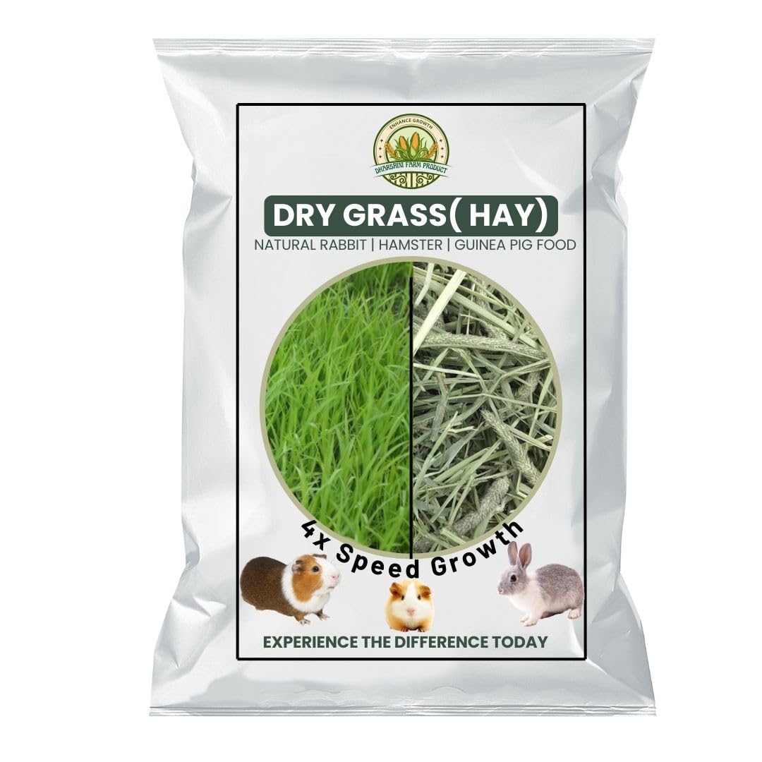 200 Grams | Dry Grass PET Food | Essential Nutrients & High Fibre Content | Sun Dried Hay for Rabbit, Hamsters, Lactating Guinea Pigs and White Mice | Suitable for All Life Stages (B0D5V8RK76) Amazon Price History, Amazon Price Tracker