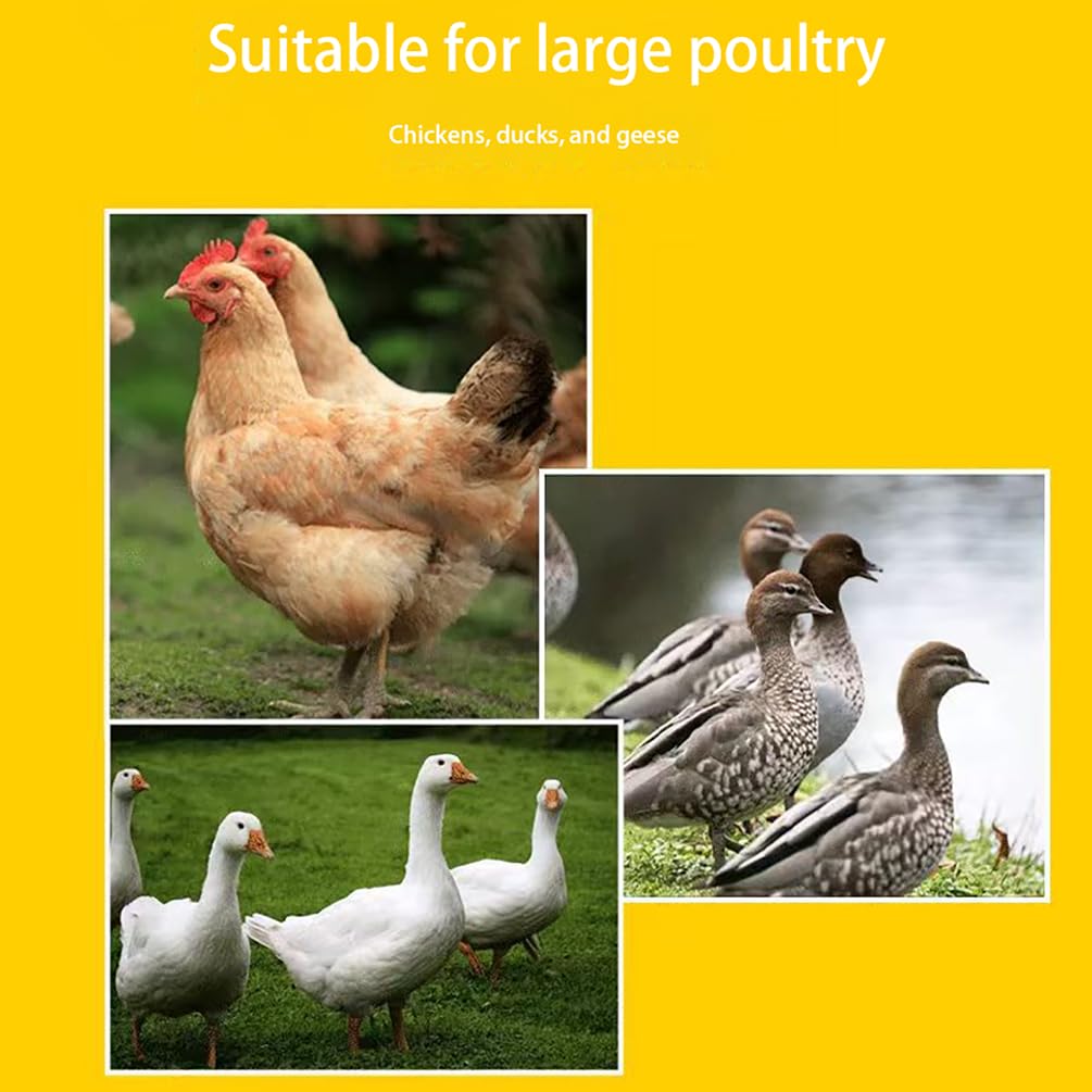 Alimentador automático de pollos de alta resistencia, equipo de alimentación de aves de corral operado con pies, accesorios para gallineros a prueba de roedores y lluvia