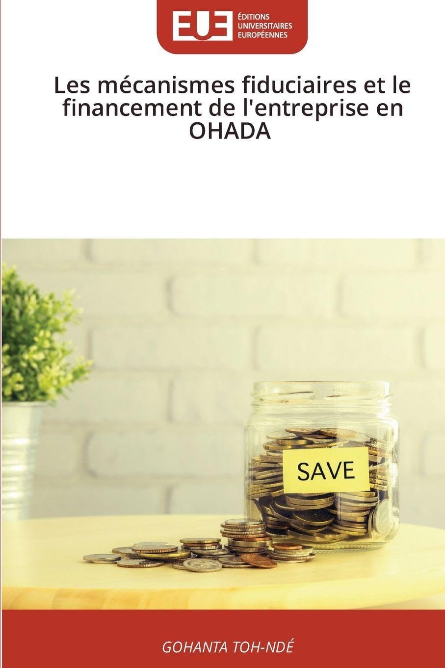 Les mécanismes fiduciaires et le financement de l'entreprise en OHADA