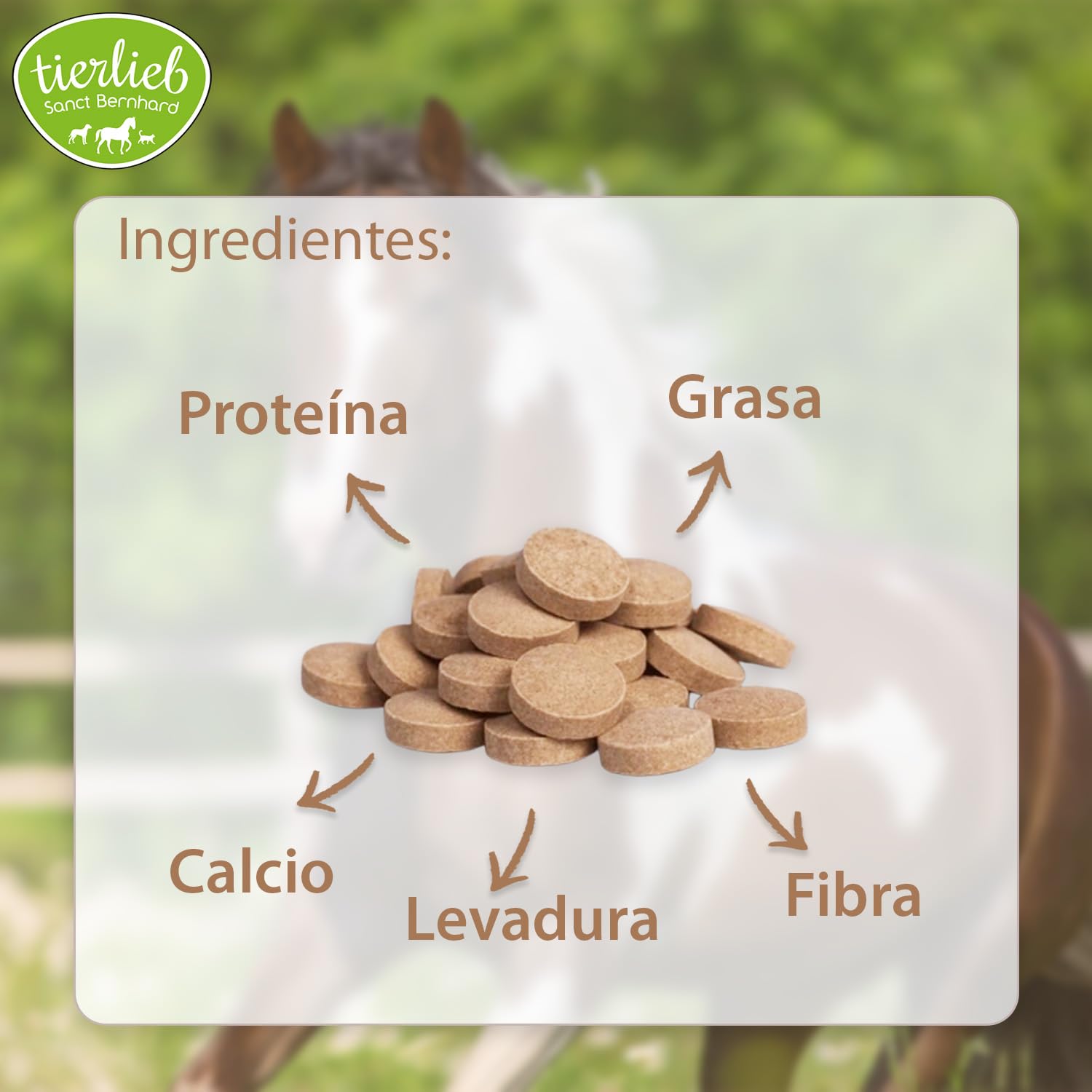 Biotina para Caballos – Pastillas para Cascos Fuertes y Flexibles, Mejora de Piel y Pelaje, Vitamina B8 para Equinos – 50 Días, Fácil Dosificación