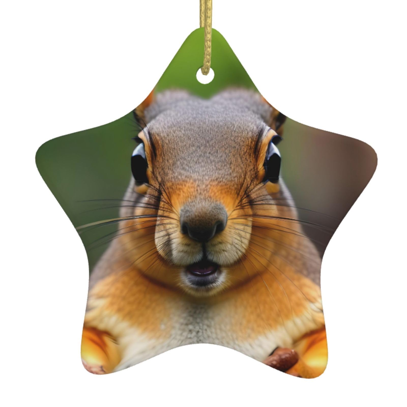 Nbtghga White Squirrel Funny Animal Print Christmas Ornaments, Ceramic Hanging Ornament, Round Shape Decorations