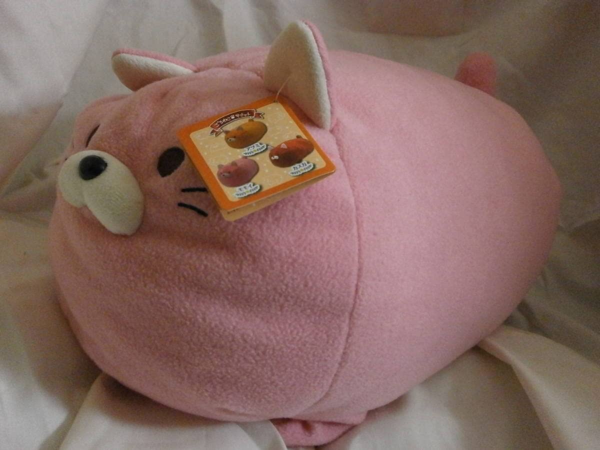 Amazon.co.jp: ごろねこサミット おうち代表あったか会議 モモイ