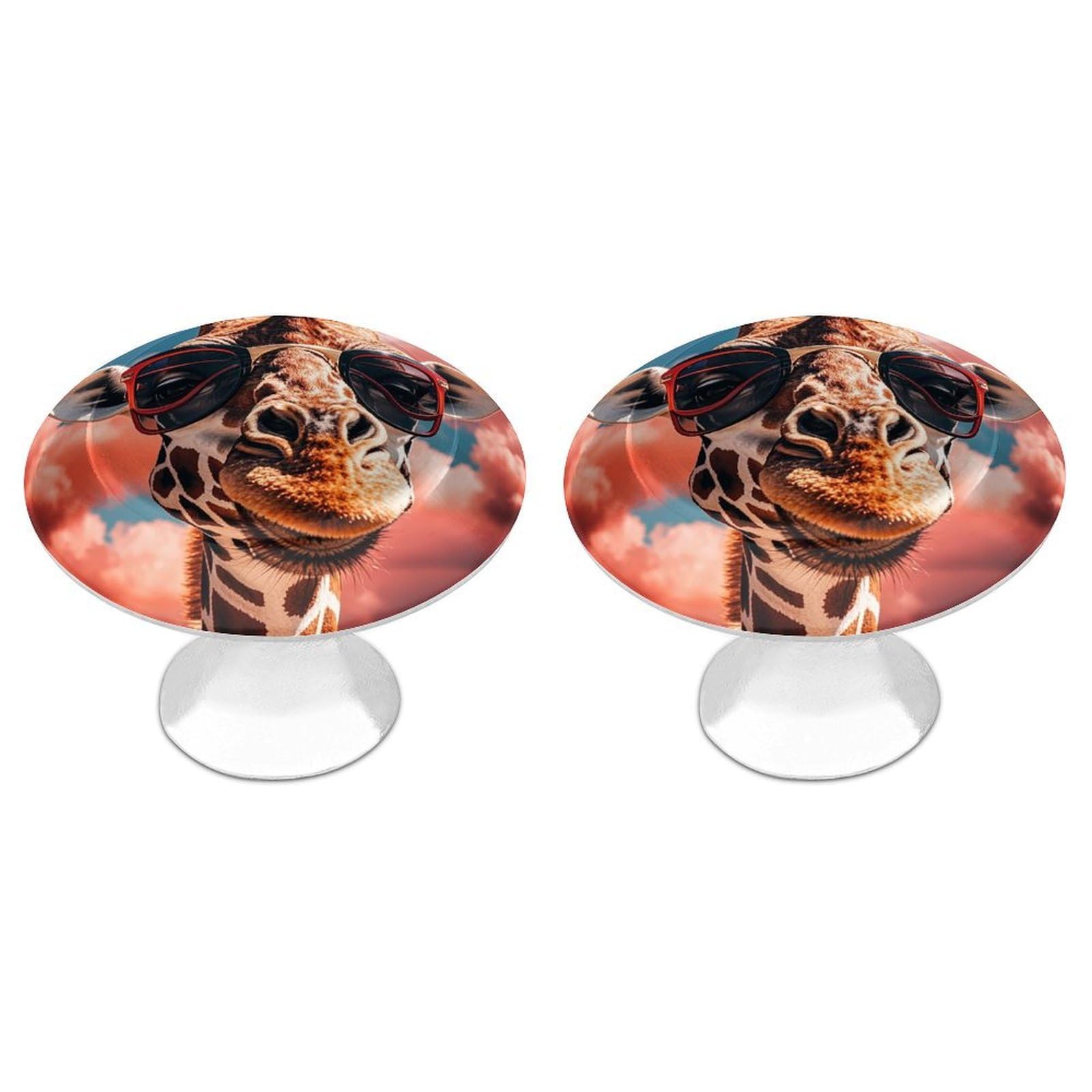 FekiLoot Round Cabinet Knob 2 Pack Kitchen Drawer Knobs Stainless Steel Round Drawer Pulls Modern Cabinet Hardware Giraffe Wearing Sunglasses Drawer Hardware for Dresser Closet Door Knobs