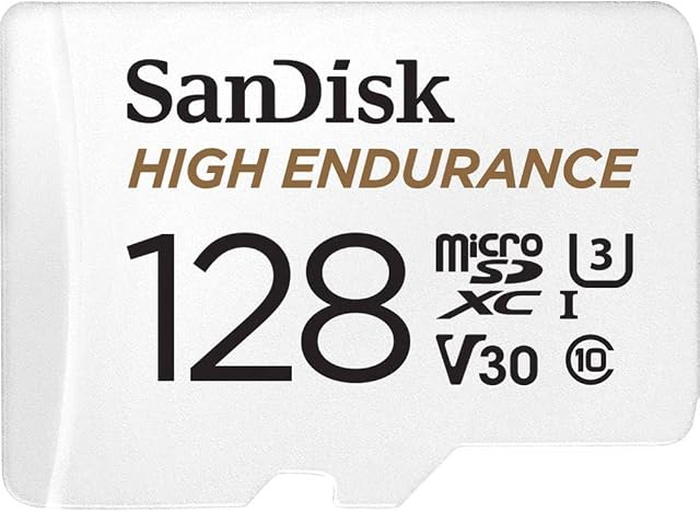 SanDisk 128GB Vidéo haute endurance microSDXC Carte avec adaptateur pour came Dash C10, U3,V30,4K UHD,Micro SD Card-SDSQQNR-128G-GN6IA