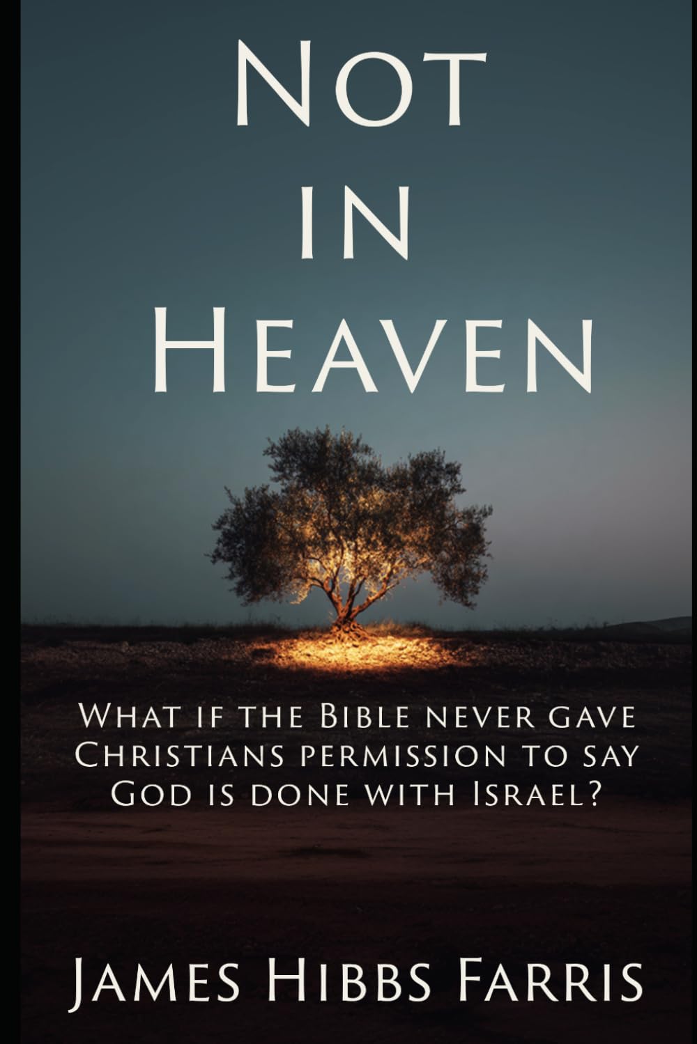 Not in Heaven: Israel, the Church, and a Christian Journey Beyond Replacement Theology