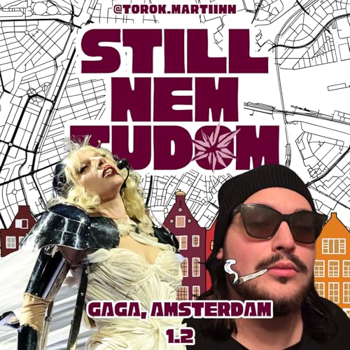 Egyed&uuml;l k&uuml;lf&ouml;ld&ouml;n? - Amszterdam, Lady Gaga