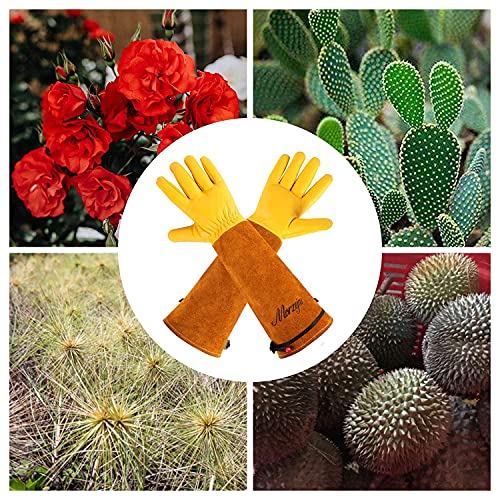 Long Gardening Gloves Gifts For Men/Women - Puncture Proof Gloves For Rose Pruning & Cactus Trimming, Leather Gauntlet Gloves Long Thorn Proof Gardening Glove Adjustable Cuff Gardening Gloves #TOP3