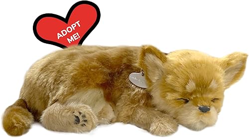 Original Petzzz - Chihuahua, juguetes para perros para niños y ancianos, animales de peluche realistas, perro de peluche que funciona con pilas,