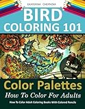 Bird Coloring 101: Color Palettes. How To Color For Adults. (How To Color Adult Coloring Books With Colored Pencils)